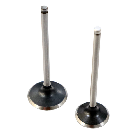 png_1500x1500_60242783