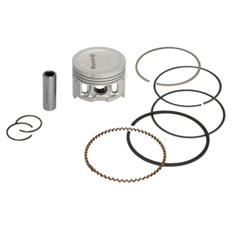 png_1500x1500_64310102